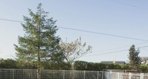 概要・アクセス